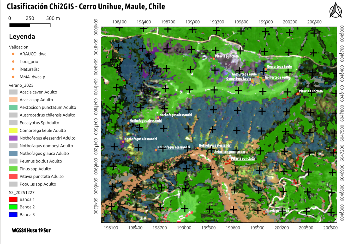 Mapa de clasificación vascular multitemporal 2 en Cerro Unihue, Región del Maule, Chile